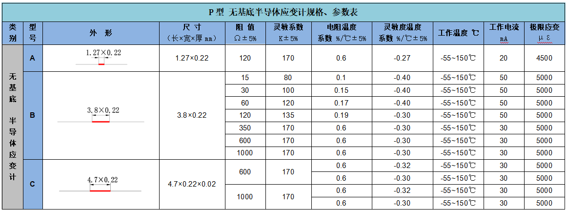 應(yīng)變計(jì)1.png